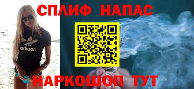 прущие грибы Краснознаменск