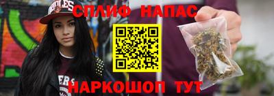 прущие грибы Краснознаменск