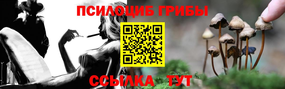 Кингисепп  Псилоцибиновые грибы GOLDEN TEACHER  Вход с VPN 