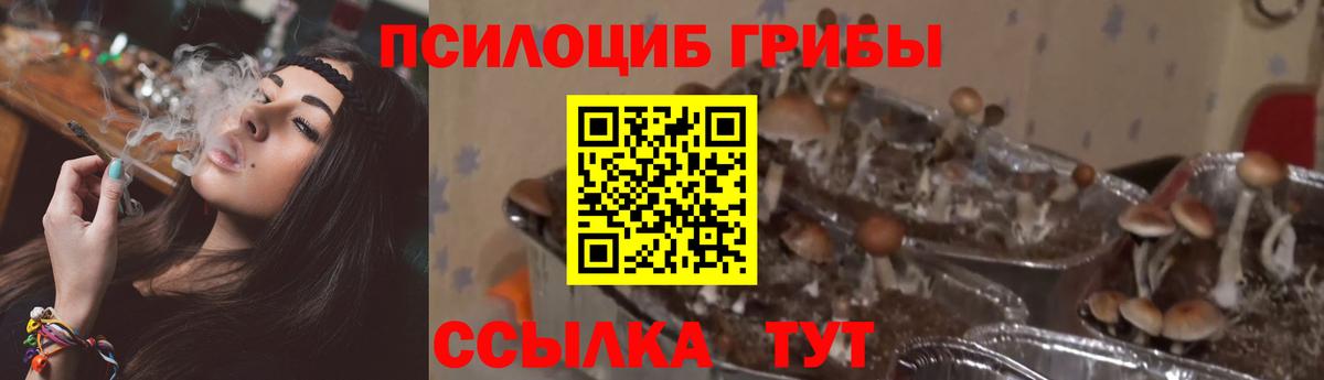 Галлюциногенные грибы мухоморы Кингисепп